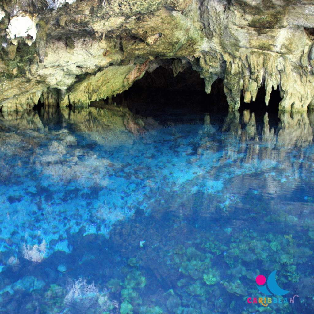 Actun Tunichil Muknal Cave Tour and Picnic