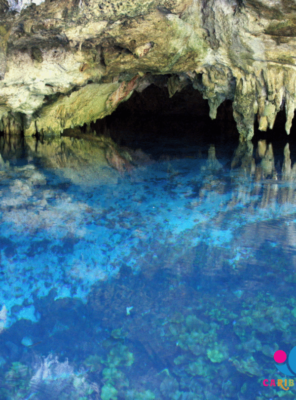 Actun Tunichil Muknal Cave Tour and Picnic