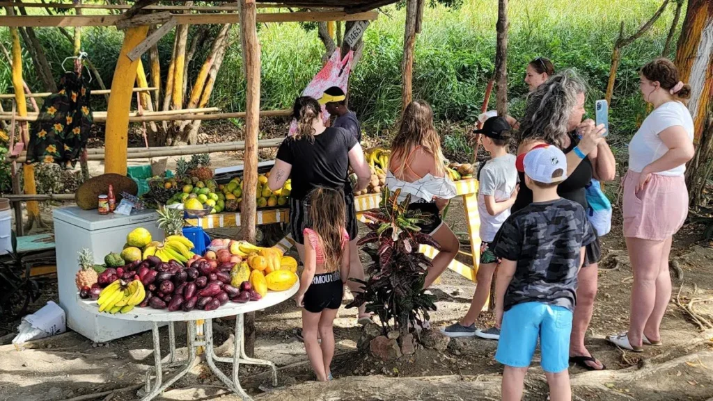 Trip Search Result 43 Jamaica Foodie