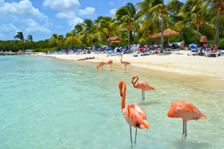 Home 24 aruba