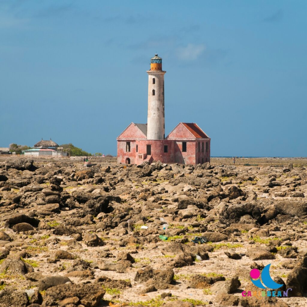 Trip Search Result 59 klein