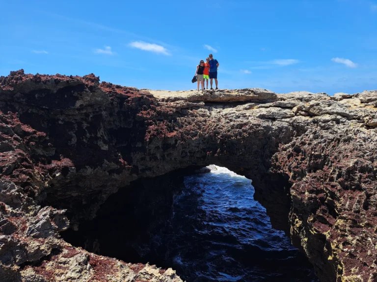 20220709 131353 8e392964c9