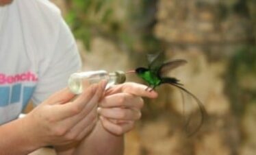 River Rapids Adventures + Rocklands Bird Sanctuary