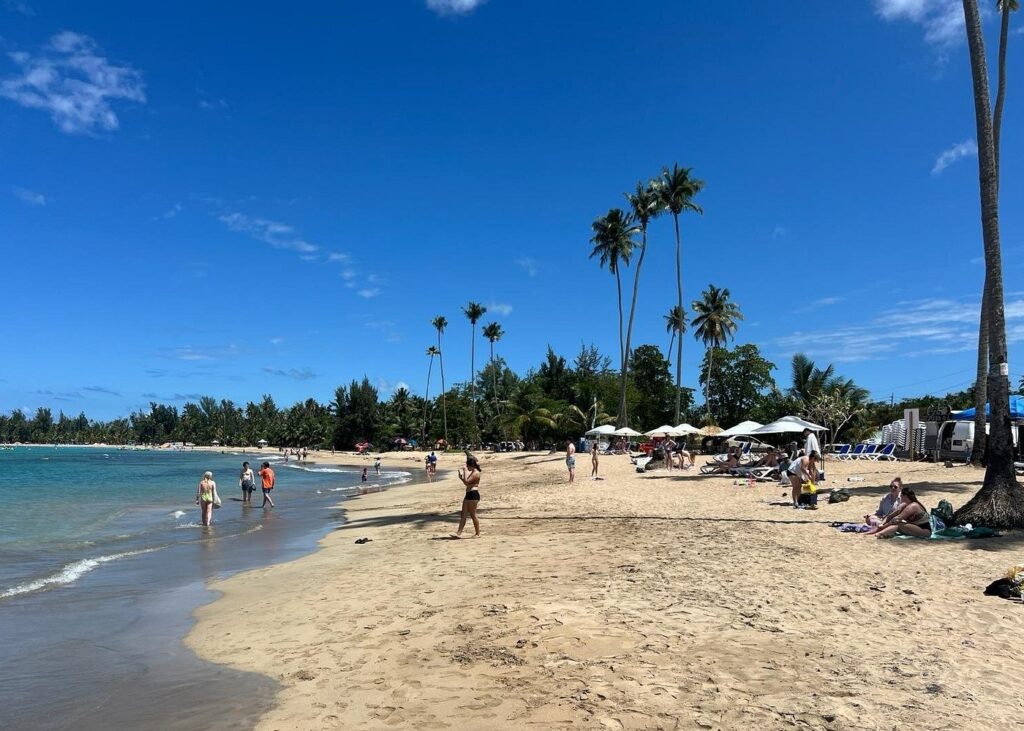 El Yunque Rainforest Adventure & Luquillo Beach Day Trip – Puerto Rico
