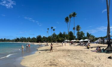El Yunque Rainforest Adventure & Luquillo Beach Day Trip ā Puerto Rico