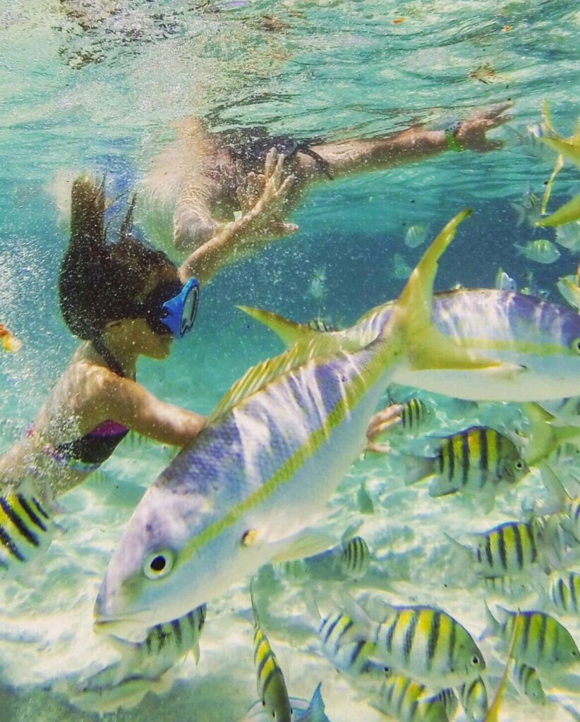 Trip Search Result 14 cayo arena 13