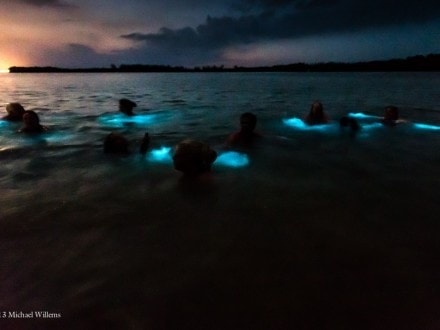 luminouslagoon 440x330 1