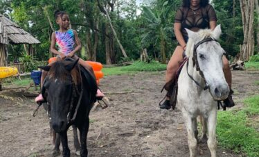 Yardy Horseback Riding
