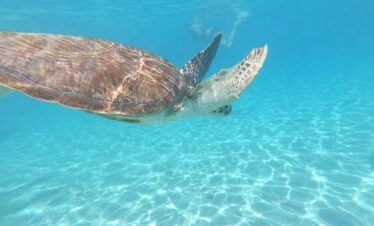curacao