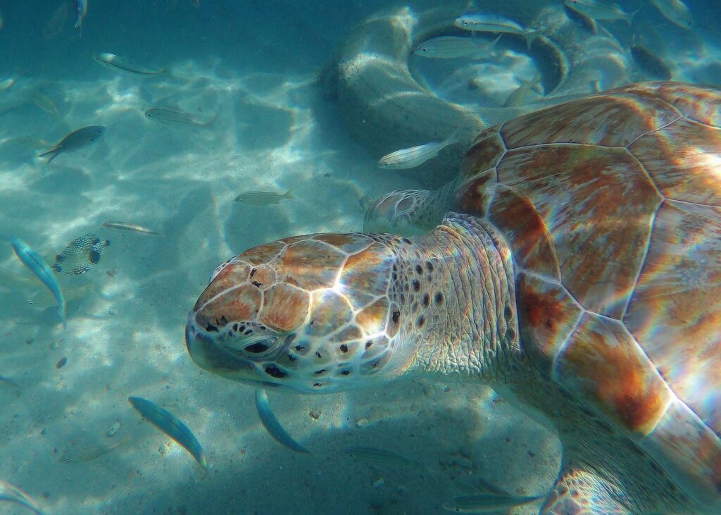 Trip Search Result 19 caption 3 2