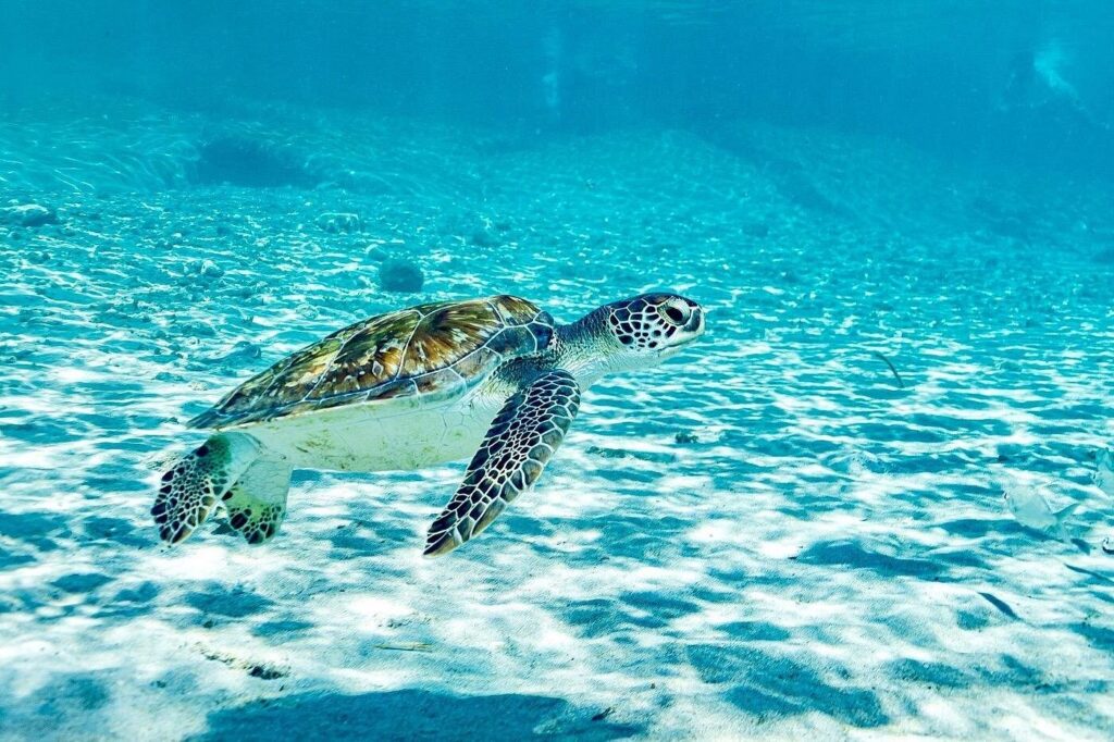 Trip Search Result 20 caption 4 1