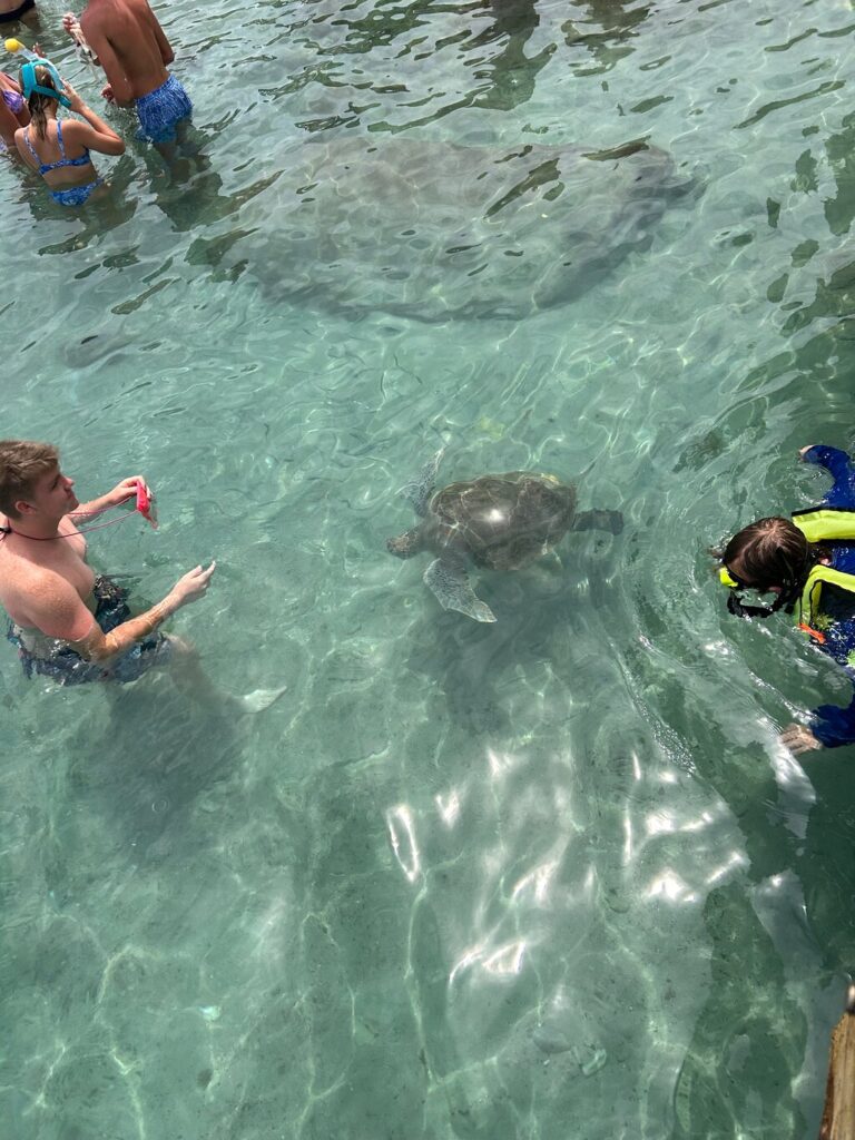 Trip Search Result 21 caption 5 1