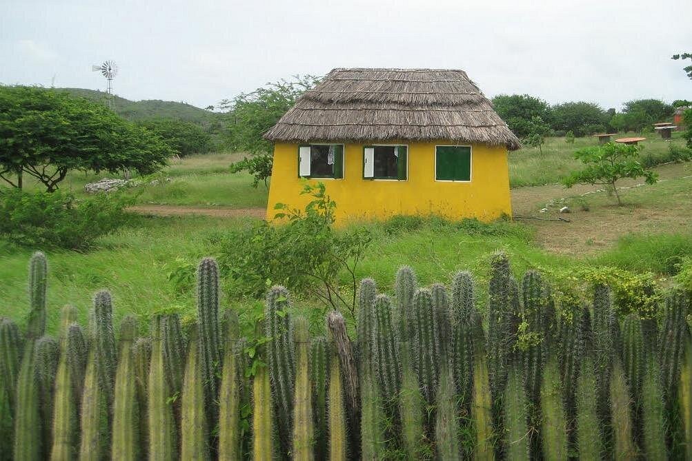 Trip Search Result 38 caption 50 1