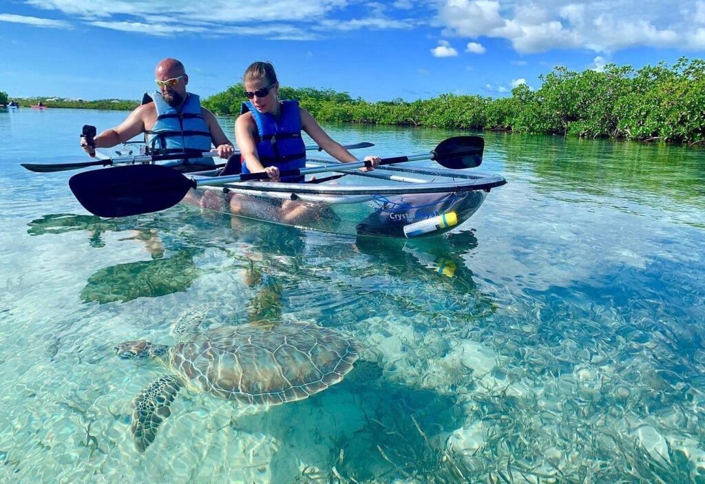 Trip Search Result 24 caption 50