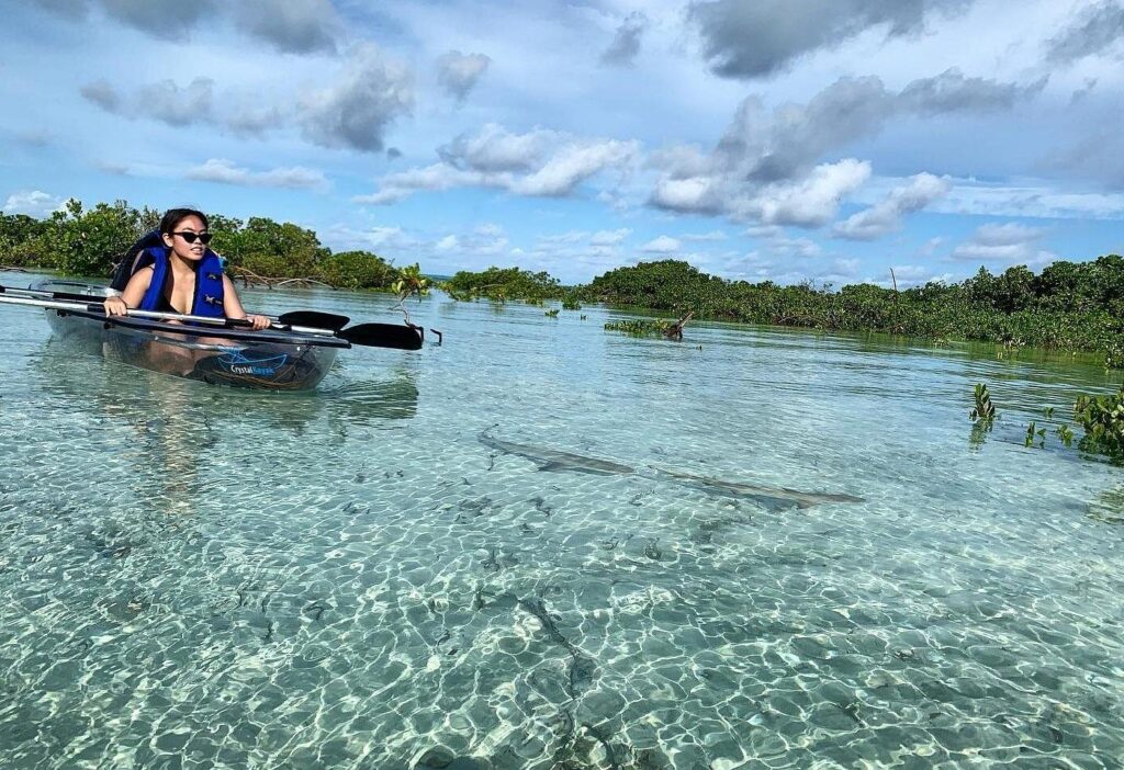 Trip Search Result 25 caption 51