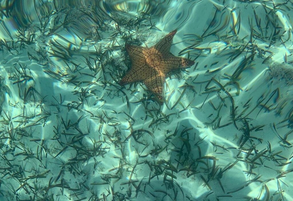 Trip Search Result 27 caption 53