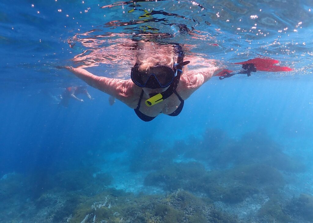 Trip Search Result 28 caption 54 1