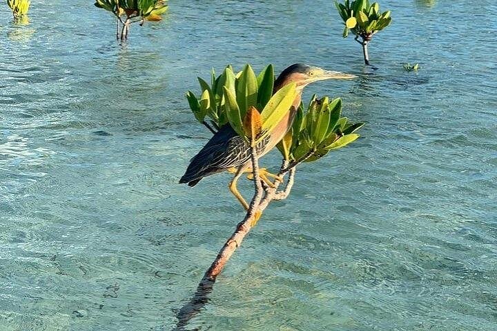 Trip Search Result 28 caption 54