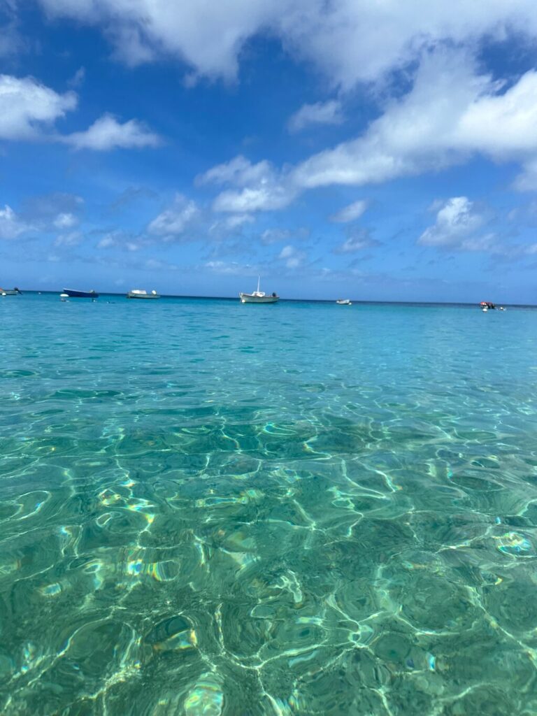 Trip Search Result 22 caption 6 1