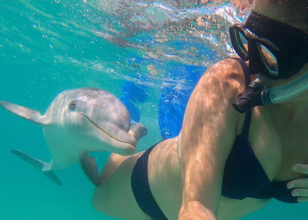 Trip Search Result 8 caption 69