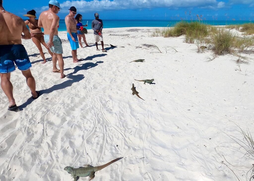 Trip Search Result 9 caption 70