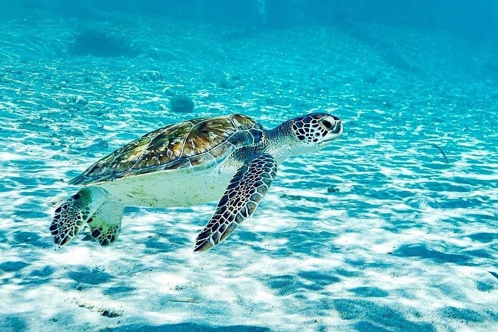 Trip Search Result 23 caption 75