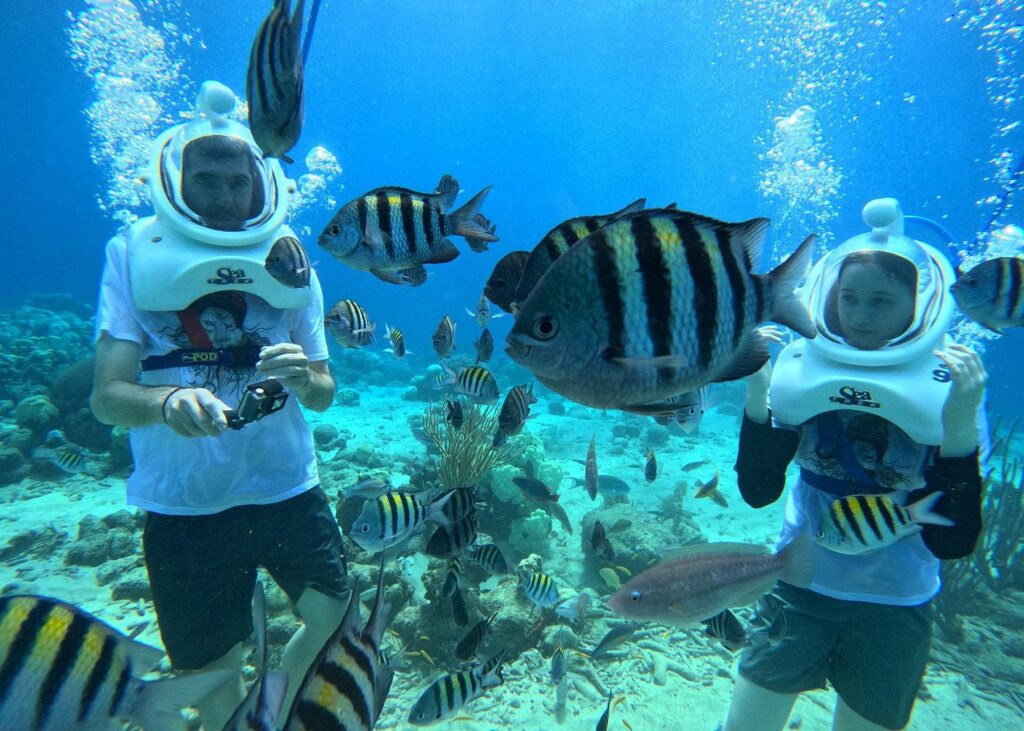 Trip Search Result 12 caption 9 2