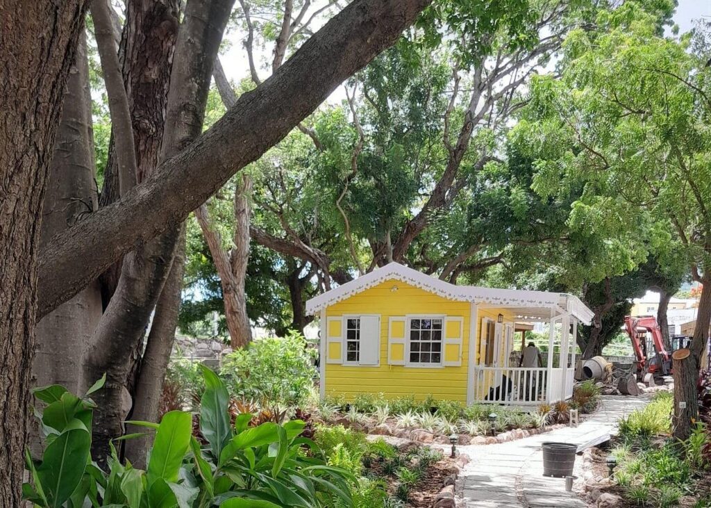 Nevis hot springs experience