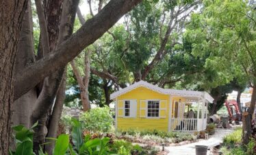 Nevis hot springs experience