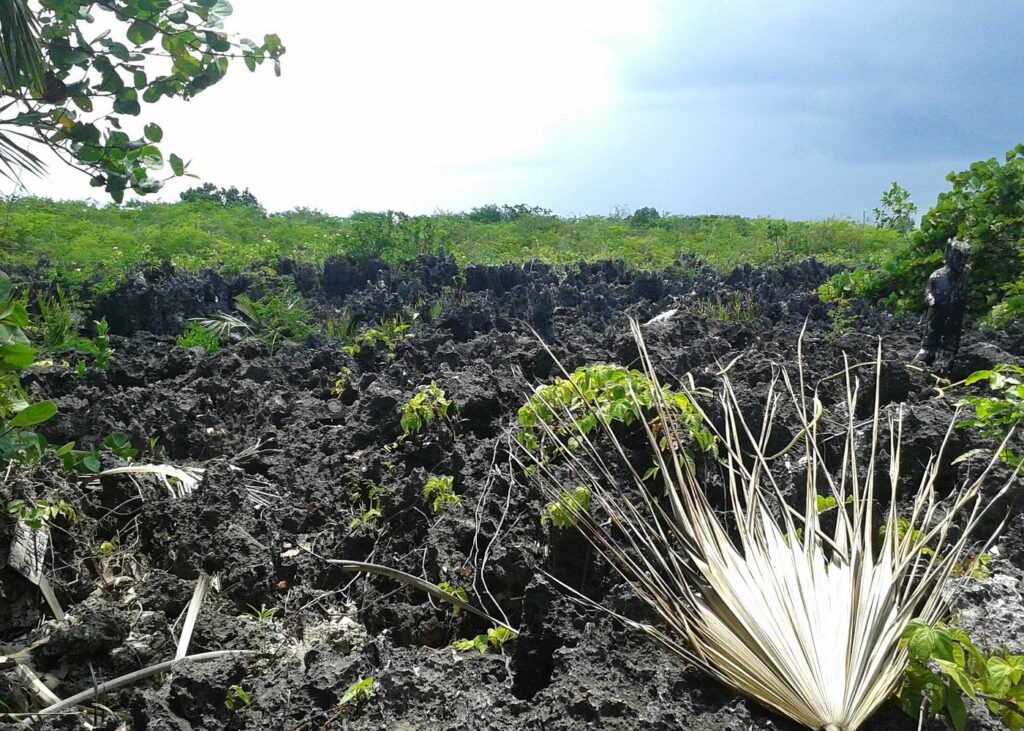 Trip Search Result 26 caption 10 8