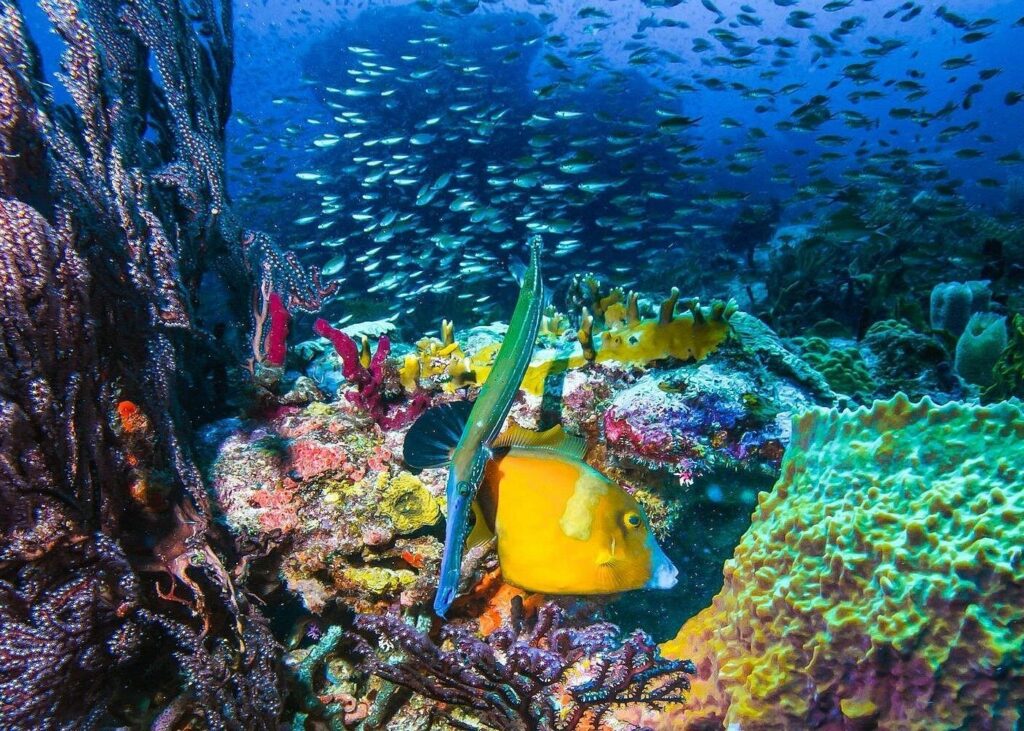 Trip Search Result 98 caption 14 1