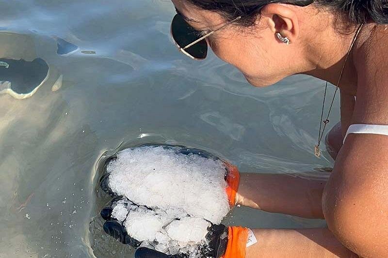 Trip Search Result 78 caption 16 2