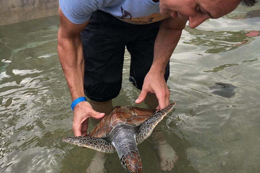 Trip Search Result 20 caption 17 5