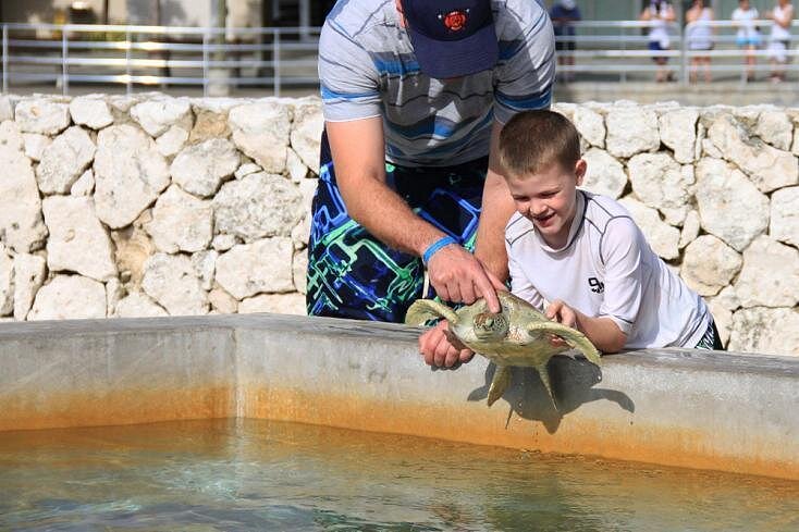 Trip Search Result 19 caption 18 5