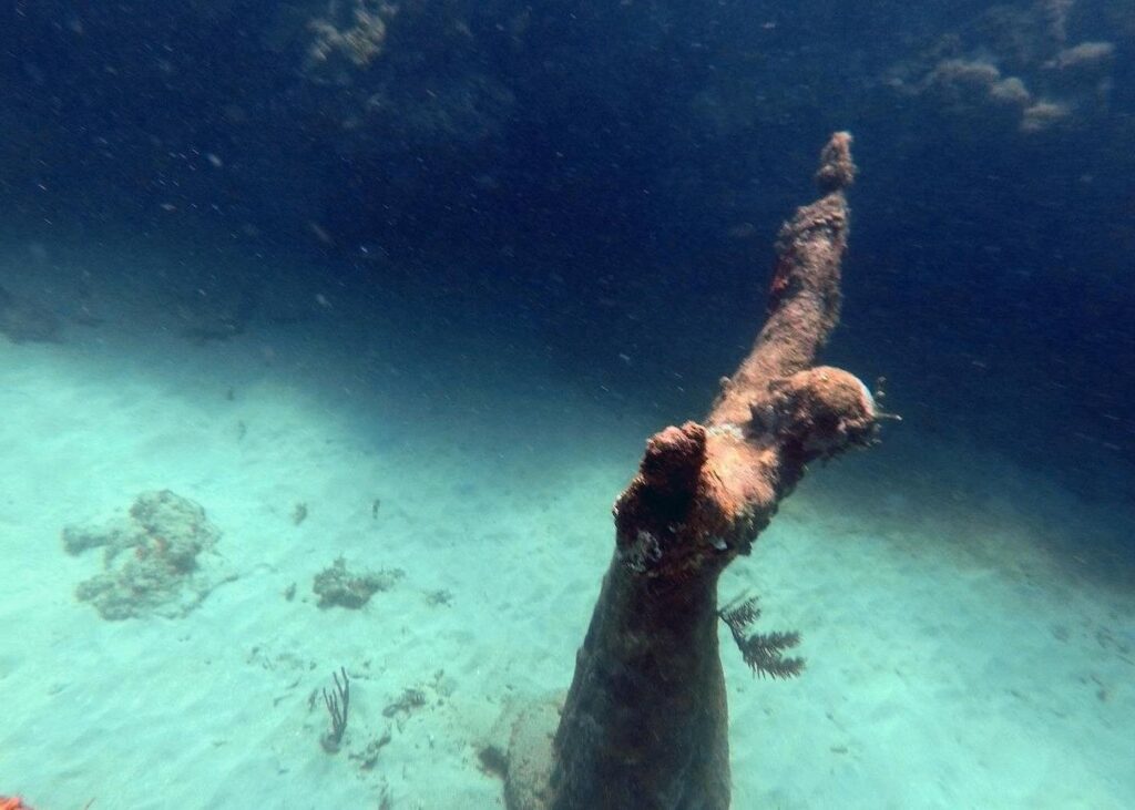 Trip Search Result 93 caption 19 1