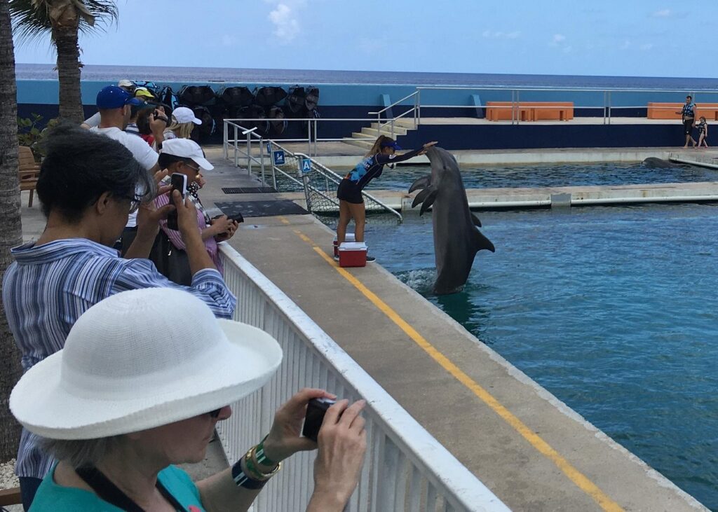 Trip Search Result 34 caption 2 13