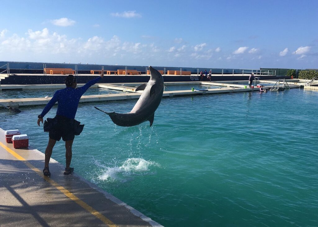 Trip Search Result 14 caption 23 3