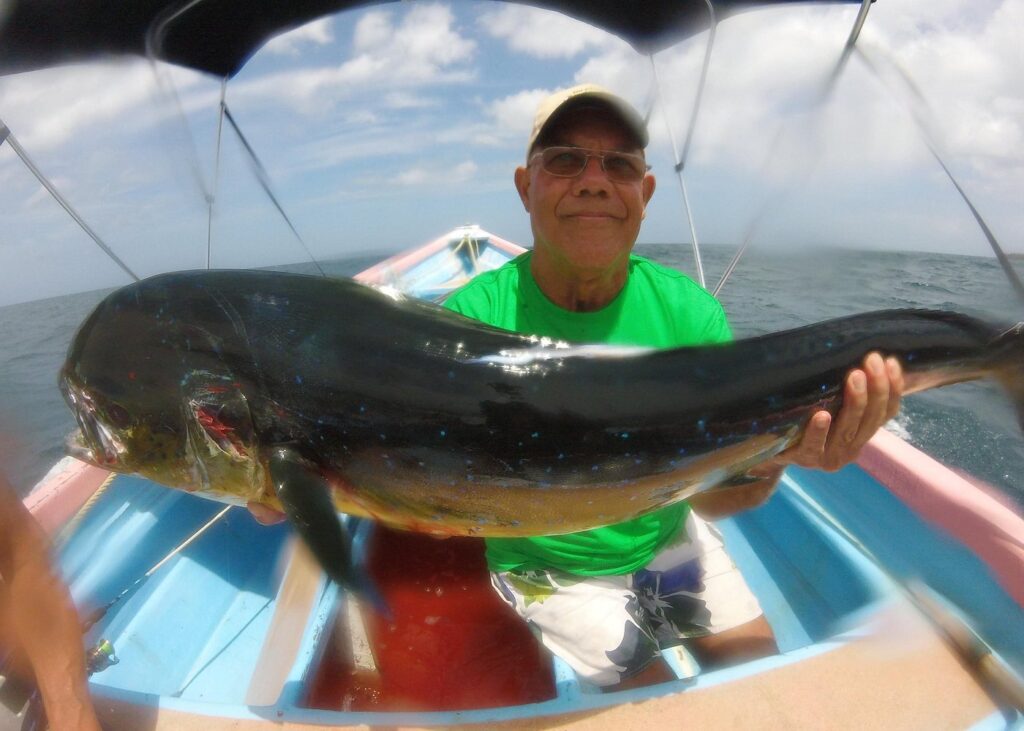 Trip Search Result 9 caption 8 14