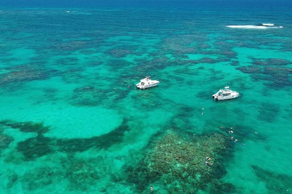 Trip Search Result 45 Putna Cana