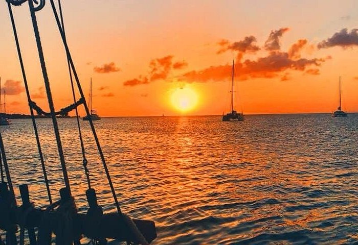 Trip Search Result 40 St. Kitts