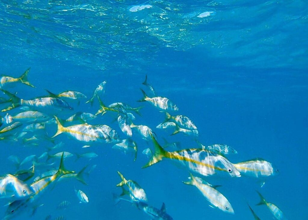 Trip Search Result 8 caption 10 3