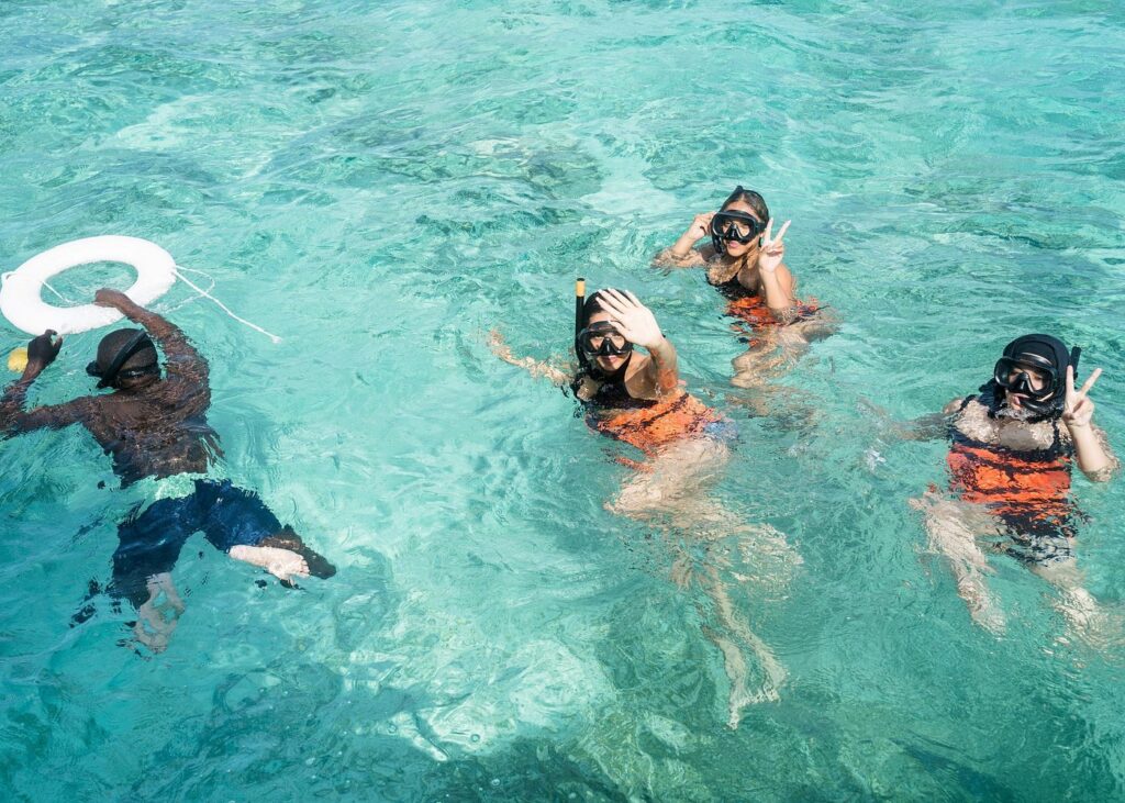 Trip Search Result 44 Putna Cana