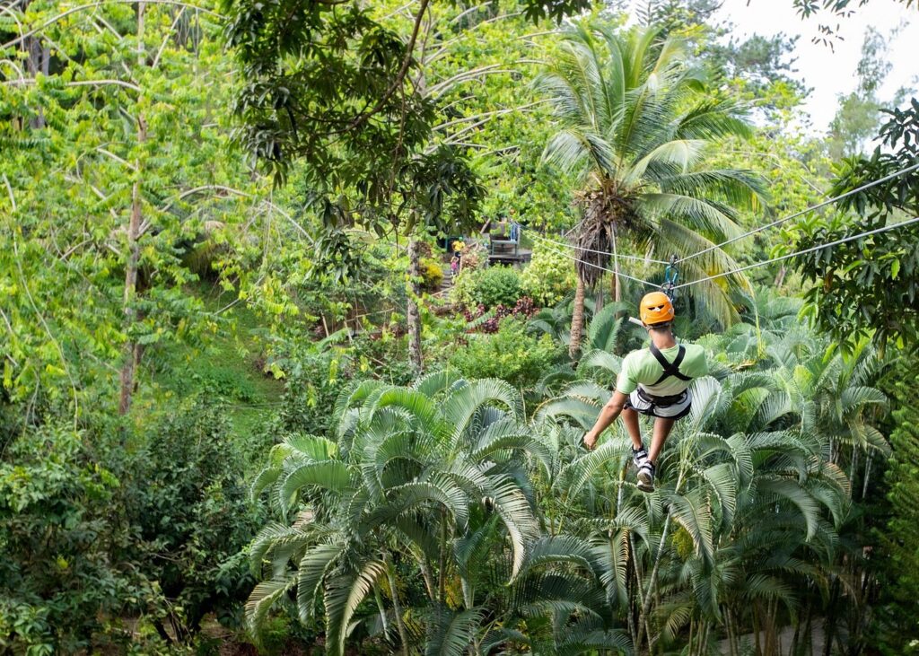 Trip Search Result 59 caption 3 20