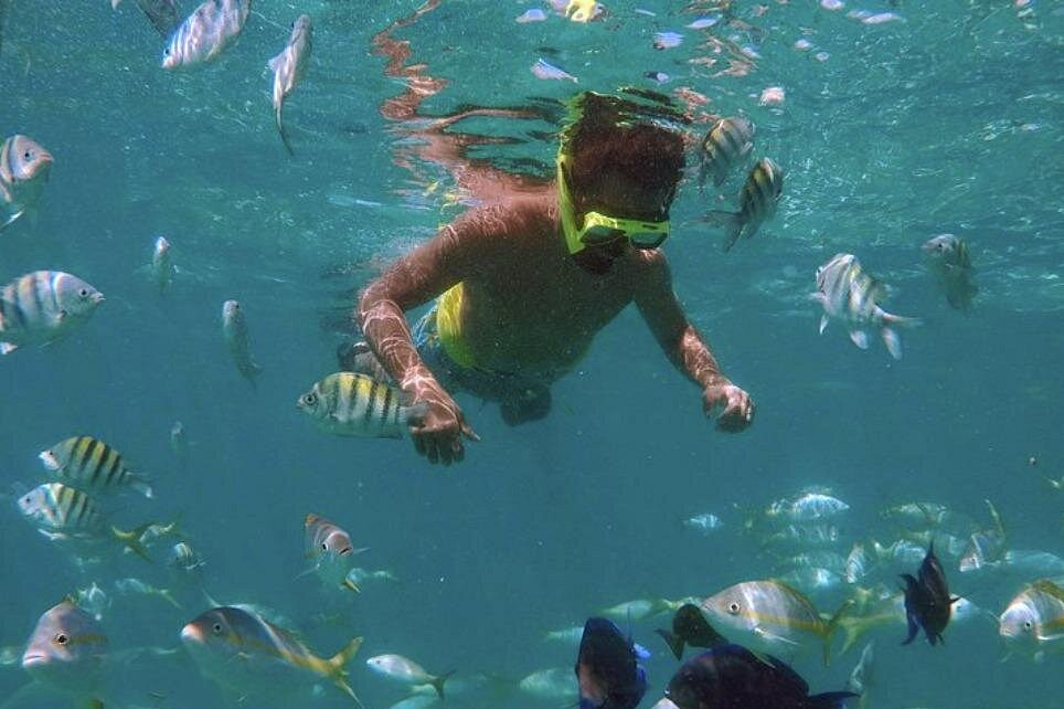 Trip Search Result 12 caption 6 19