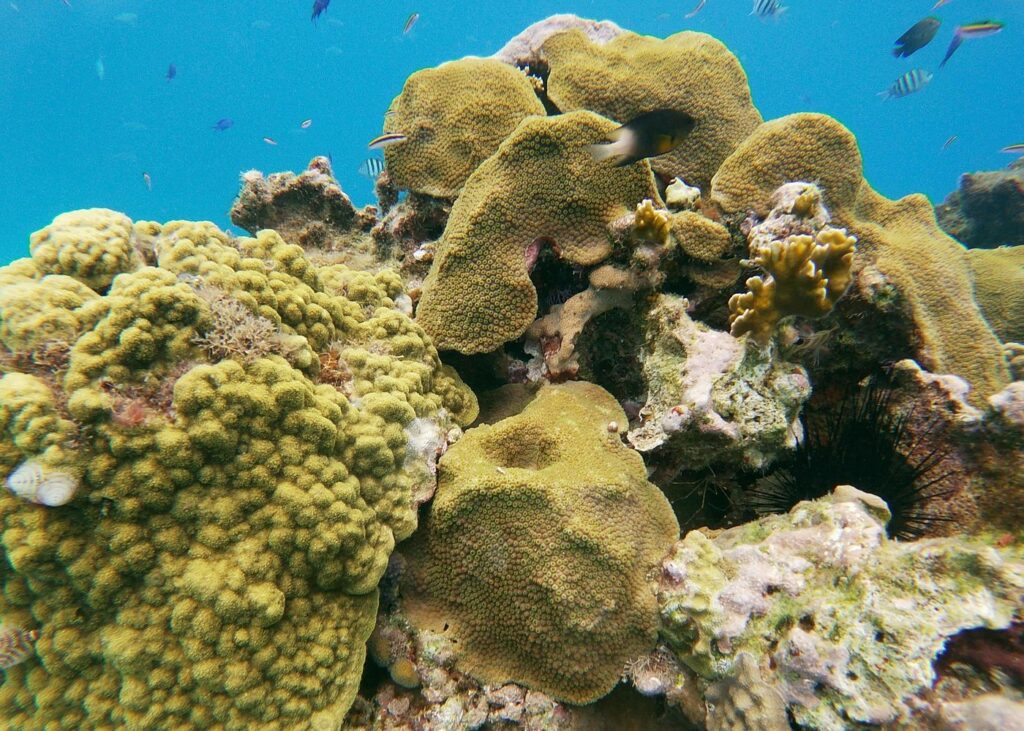 Trip Search Result 56 Dominican Republic