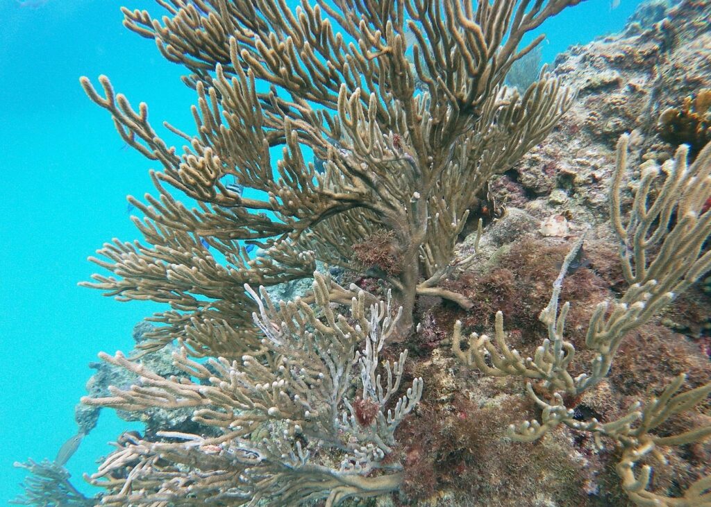 Trip Search Result 57 Dominican Republic