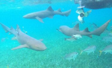belize