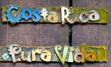 Rainforest & Waterfall Adventure from Jacó