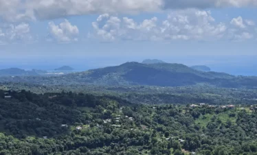 Piton Hike Chauffeur Adventures St. Lucia