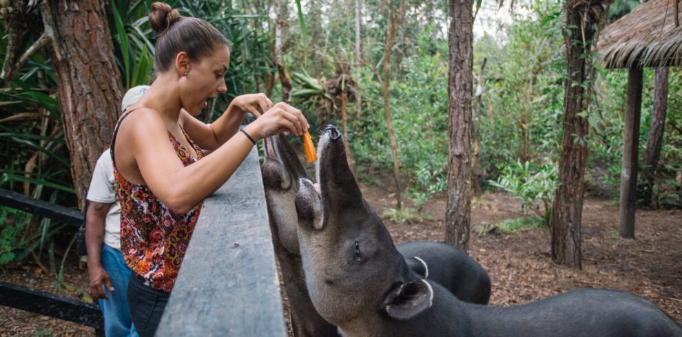 BelizeZoo1